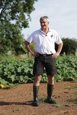 Гумові чоботи DUNLOP синього кольору Purofort E262673 зі зручним захопленням, водонепроникні, 36 43 EU зелені