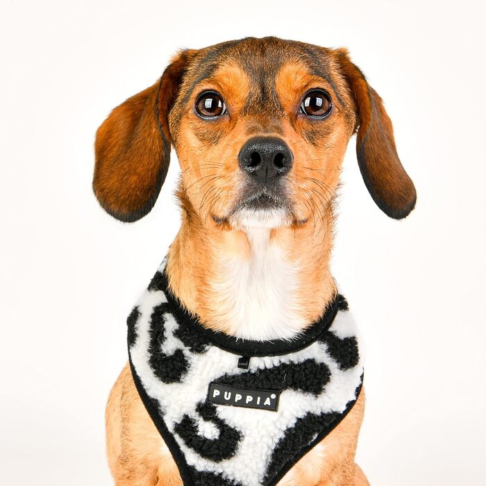 Шлейка Puppia Serval A для собак малих та середніх порід - регульована та зручна, чорна, розмір S