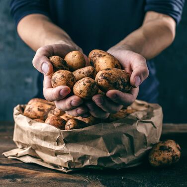 Мішки для рослин GardenMate з нетканого матеріалу об&39ємом 5 x 60 л, Ø45,5 см, висота 40 см - Blackline 5 x 60 літрів (D45,5xH40 см) Blackline