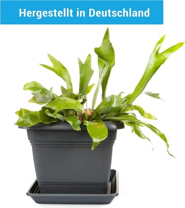 Набір з 4 рослинних горщиків XXL, 48 см, антрацит, великі пластикові квіткові горщики, вуличні горщики, стійкі до ультрафіолету, морозостійкі, зроблені в Німеччині, з дренажним блюдцем.