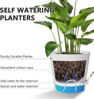 Квітковий горщик 20,3 см, пластиковий квітковий горщик із системою поливу, 2 горщики для рослин, сучасний для кімнатних та балконних садових рослин, сукулентів, кактусів (білий) Білий 20,3 см