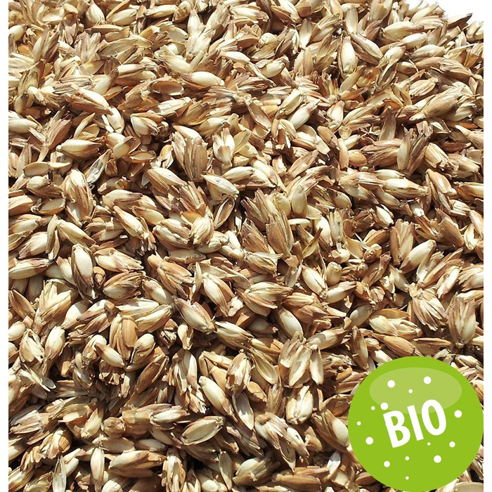 Подушка GIRAFFENLAND з органічного лушпиння спельти 40x80 см, стьобана біла, подушка з органічним лушпинням спельти в додатковому органічному внутрішньому чохлі