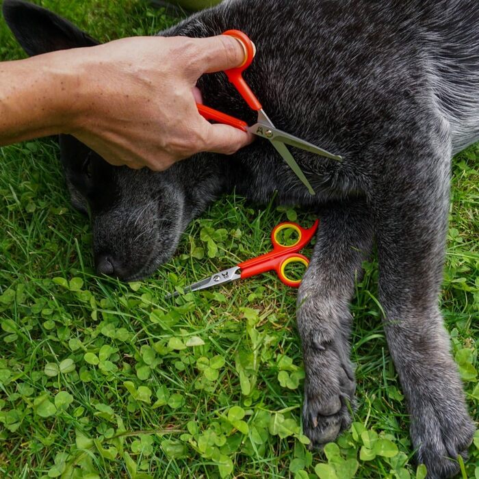 Ножиці для собак Hundefreund - Набір з 2 ножиць для грумінгу собак - Ножиці для грумінгу собак з нержавіючої сталі із заокругленими кінчиками - Ідеально підходить для догляду за лапами та стрижки шерсті