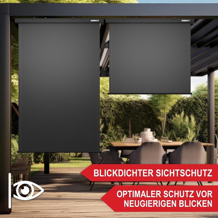 Вертикальна маркізка для використання всередині та зовні приміщень - розсувна у 2 розмірах 250 x 160 см / 250 x 180 см - ширма для забезпечення конфіденційності на балконі та терасі - ручна - захист від сонця, захист від вітру (антрацит, 160 x 250 см) Ант