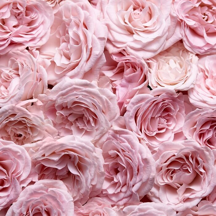 Парфумерна вода Escada Especially, свіжий квітковий аромат для гламурних жінок, 30 мл (1 упаковка)