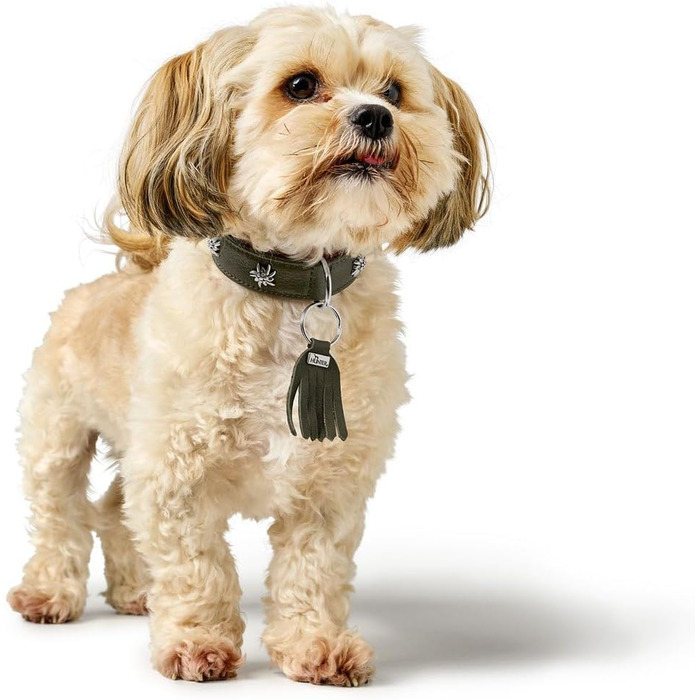 Нашийник для собак HUNTER Мюнхен, колір зелений/коньяк, шкіра, вишукані деталі в традиційному стилі, м'який та міцний, дбайливий до шерсті, розкішний, екологічно чистий, стійкий, виготовлено в Німеччині, розмір 32 зелений/коньяк 32