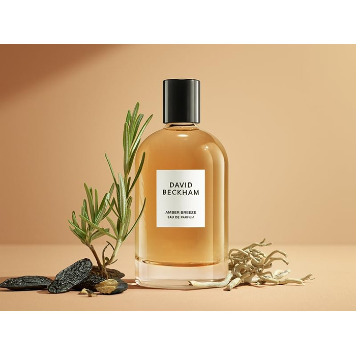 Парфумована вода David Beckham Amber Breeze (100 мл)