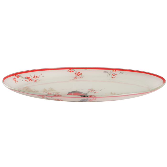 Блюдо Viva NY Winter Bird, 30х20 см (7109502)