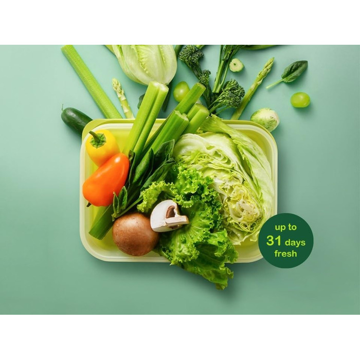 Контейнери для зберігання свіжих продуктів LocknLock Fresh Block з кришками набір із 2 контейнерів для зберігання продуктів, що штабелюються та не містять бісфенолу А можна використовувати в мікрохвильовій печі, морозильній камері та мити в посудомийній м