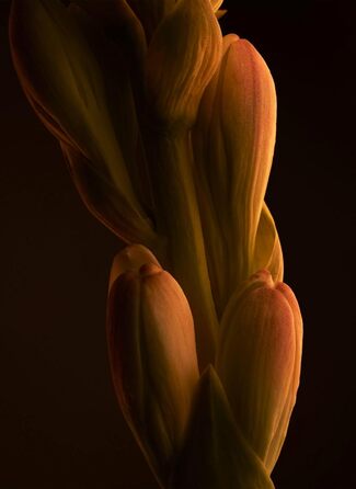 Туалетна вода Paco Rabanne 1 Million (100 мл)