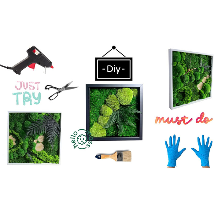 Мох Hello Moss для крафта - набір, що складається з 6 кулькових мохів ісландського моху, 1 пластинчастого моху, стабілізованого амаранту та японського кореня - збережений живий мох - набір DIY із зображенням моху (середньозелений)