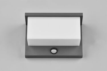 Стічний LED-світильник Trio Leuchten Nestos 240969142, алюміній (антрацит), білий пластиковий плафон, 13 Вт, з датчиком руху