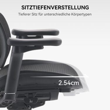 Ергономічне офісне крісло SIHOO з подвійною динамічною поперековою опорою, робоче крісло з 5-позиційною регульованою спинкою, офісне крісло з 4D-координованими підлокітниками (S100 Black) Чорний сучасний