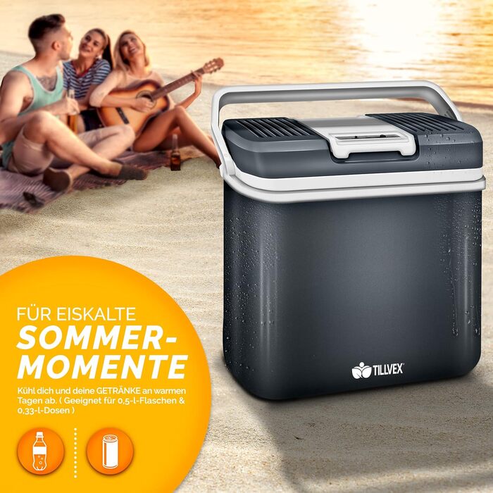 Електричний 24 л міні-холодильник 230 В і 12 В для автокемпінгу охолоджує і гріє режим ECO сірий