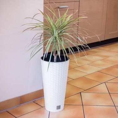 Каструля Time Cabinet об&39ємом 15,5 літрів зі вставкою 25 x 25 x 47,6 см білого кольору