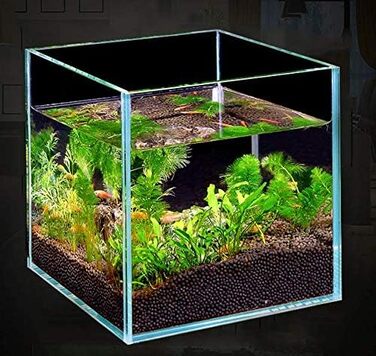 Акваріум BEGONDIS Cube 20x20x20 см, скляний акваріум