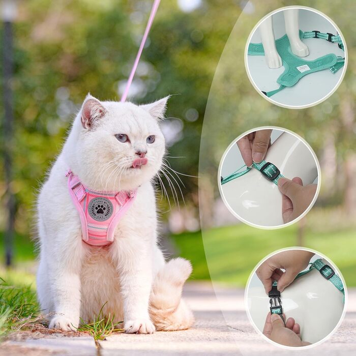 Комплект шлейки та повідця для котів BEAUTYZOO для прогулянок, регульована шлейка із захистом від втечі для кошенят, цуценят, шлейка для маленьких та середніх котів, хлопчиків та дівчаток