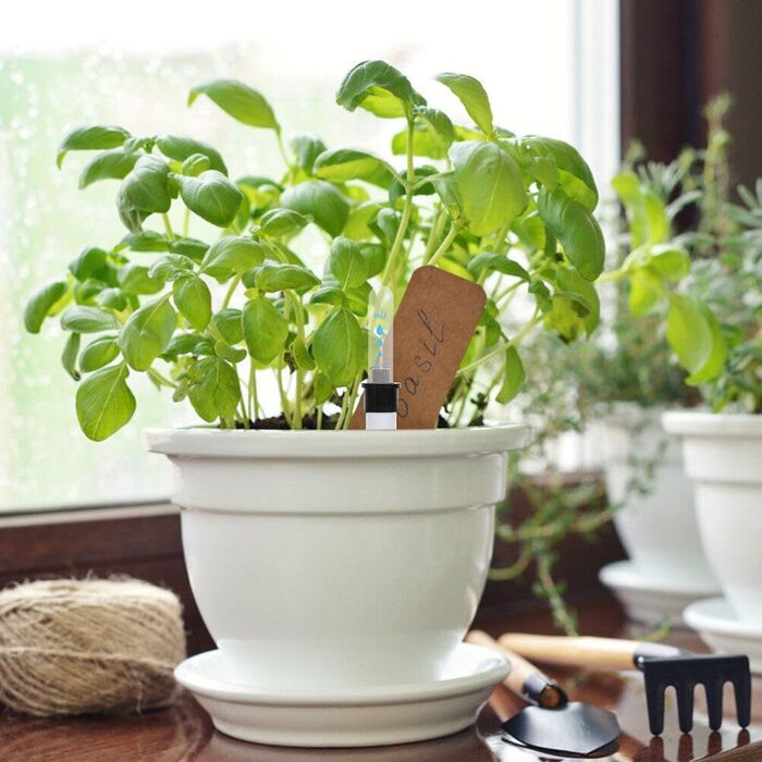 Індикатор рівня води Рослини Гідропонний індикатор рівня води Індикатор поливу Кімнатні рослини (18 см, 30 см), 8 шт.