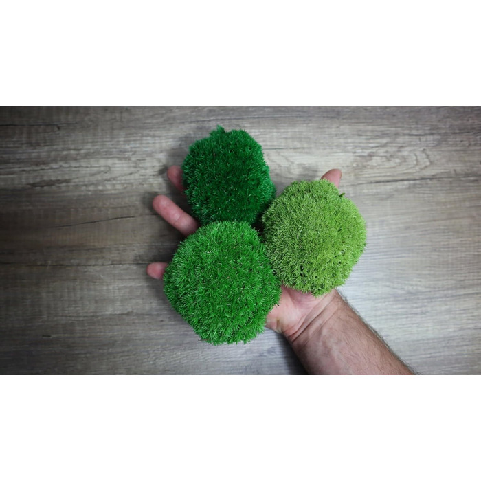 Збережений мох на вагу - Прикраса з моху для вас - Кулястий мох, збережений для вашого дому - Створіть картину з моху - підходить як моховий тераріум і ліси у склі (100 г світло-зеленого)