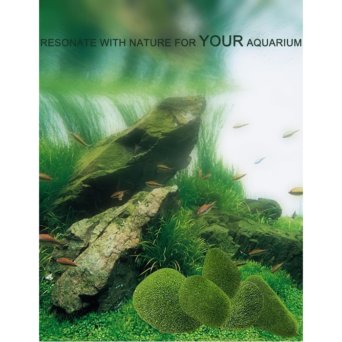 Набір мохових кульок ZLXHDL із 5 шт. прикраса зі штучного моху, декоративні мохові кульки різних розмірів, зелені флоковані камені для акваріумів та різноманітні прикраси