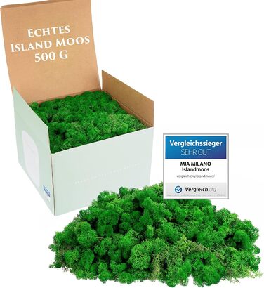 Ісландський мох натуральний зелений збережений I Декорація з моху для крафта I 500г Справжній декоративний мох Ісландський для картини з моху та живої мохової стіни