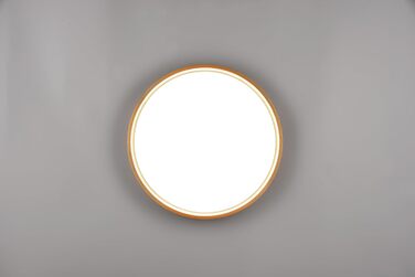 Стельовий LED-світильник Trio Leuchten Doha 641310208, матова латунь, акрил, LED 29 Вт