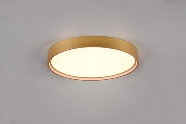 Стельовий LED-світильник Trio Leuchten Doha 641310208, матова латунь, акрил, LED 29 Вт
