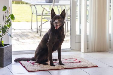 Килимок для дверей DGS Dirty Dog Д 90 см Ш 66 см бежевий 66 x 90 см (правий) бежевий