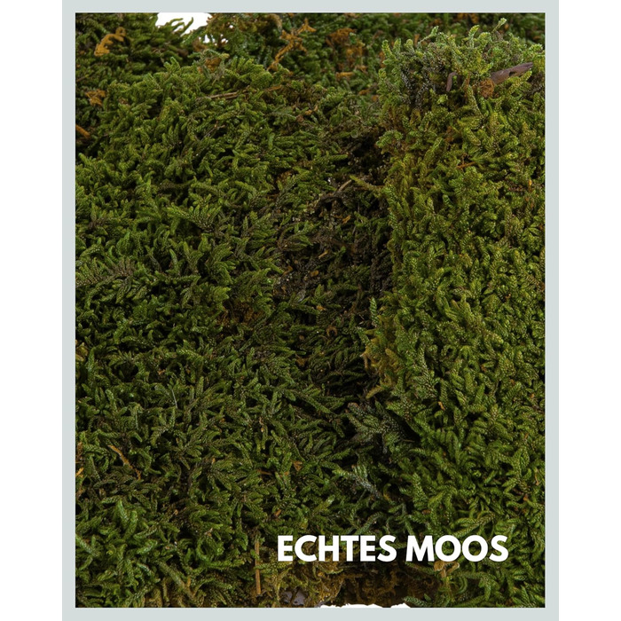 Пластинчастий мох довго зберігав природний зелений Декоративні стінові мохові панелі довговічні Картина з моху своїми руками зроби сам Килимок із натурального зеленого моху, 300 г, Living in Green