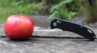 Ніж Ganzo G7531 Колір рукоятки чорний - Довжина клинка 8.9 см - Механізм замикання G-Lock - Сталь клинка нержавіюча сталь 440C