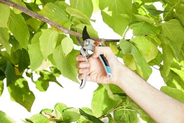 Садові ножиці Gardena алюмінієві, великої/великої довжини безпечні для рослин ножиці для дерев з обрізним лезом для гілок та сучків діаметром до 25 мм, міцні алюмінієві ручки, змінне лезо, регульований отвір (8906-20). Підходять для свіжої деревини, без б
