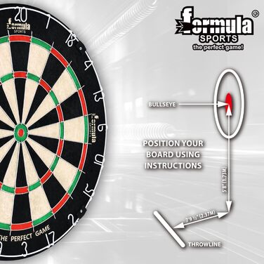 Класичні мішені для дартсу, професійні, щетинні, з 12 дротиками, дротики не входять до комплекту