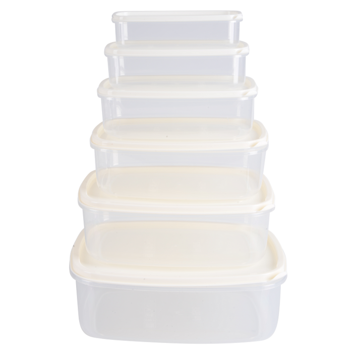 Набір контейнерів Violet House 0496 BEJ 0.3/0.5/0.85/1.35/2/3.15 л (6929427)