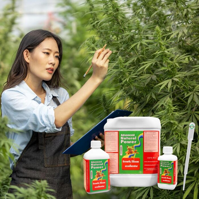 Мл - Grow Cultivation Indoor Добриво Очищувач субстрату Грунт Рідке добриво Органічне добриво Біо, 250