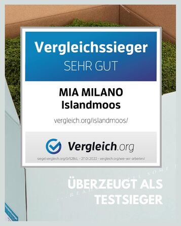 Пластинчастий мох довго зберігав природний зелений Декоративні стінові мохові панелі довговічні Картина з моху своїми руками зроби сам Килимок із натурального зеленого моху, 300 г, Living in Green