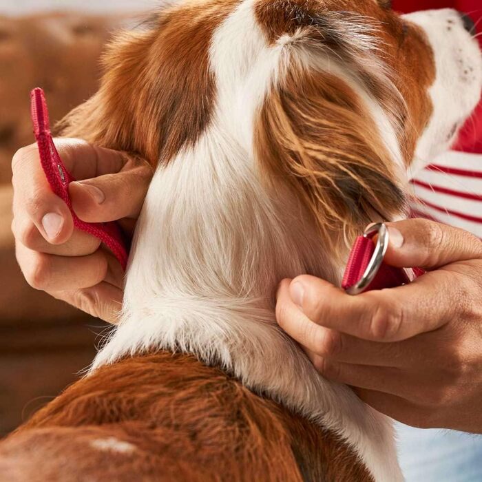 Гідрокостюм неопреновий з відбиваючими елементами FC Bayern, Розмір L-XL (65), Червоний L-XL (65)