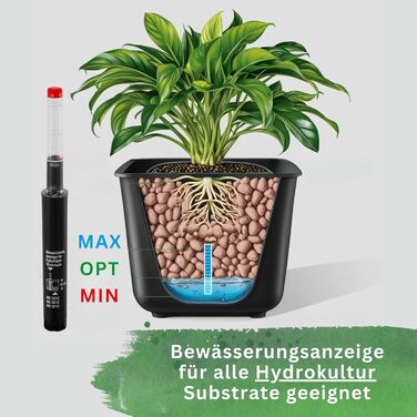 Культурний горщик Leni для гідропонних систем набір з індикатором рівня води Розміри на вибір 5-32 см круглі Міцний пластик (в упаковці 6 шт., Ø 13 см В 12 см)