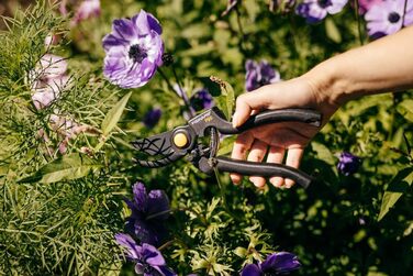 Садові ножиці Fiskars Bypass для свіжих гілок та сучків, антипригарне покриття, високоякісні сталеві леза, довжина 22,5 см, чорні/помаранчеві, Pro, P90, 1001530 Pro P90