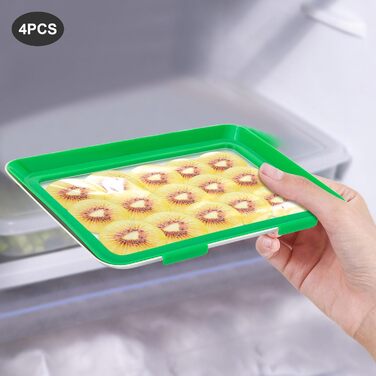 Коробка для шинки, для холодильника, зберігання шинки, холодильник, комплект із 4 контейнерів, для зберігання продуктів, ідеально підходить для кемпінгу, вечірок, сімей (30 x 20 см)