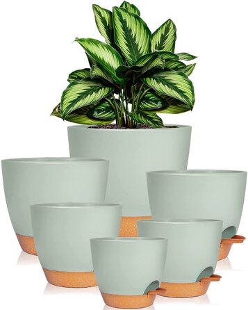 Пластиковий квітковий горщик з блюдцем 20,3/17,7/16,5/15,2/14/12,5 см, набір з 6 предметів, самополивний кашпо, горщик для трав, кухонний набір, кругле кашпо для балкону, сукуленти, кактуси, зелений