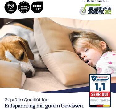 Подушка Gentle North (розміром 40x60 см) - Набір з 2 подушок для ліжка та як декоративні подушки - На блискавці для наповнення - Д