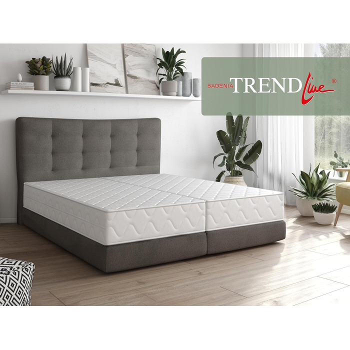 Ортопедичний комфортний матрац Badenia Trendline BT100 2-в-1 Duo XXL, 7-зонний, висота 22 см, рівні жорсткості 2 та 3, 140 x 200 см, сертифікований Oeko-Tex, виготовлений відповідно до німецьких стандартів якості. Рівні жорсткості H2 (м&39який) H3 (середн