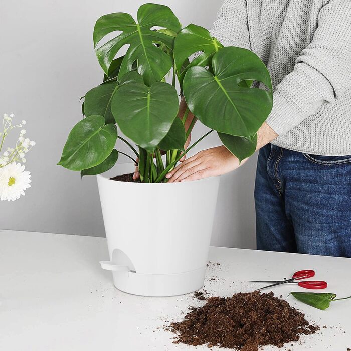 Квітковий горщик 20,3 см, пластиковий квітковий горщик із системою поливу, 2 горщики для рослин, сучасний для кімнатних та балконних садових рослин, сукулентів, кактусів (білий) Білий 20,3 см