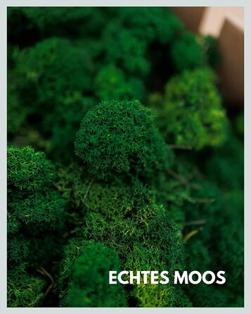 Ісландський мох збережений темно-зелений Прикраса з моху для рукоділля 1 кг справжнього декоративного ісландського моху для малюнків з моху та стін з моху