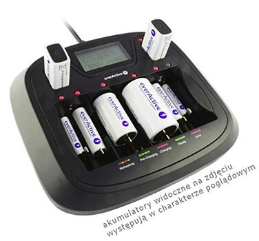 Інтелектуальний універсальний зарядний пристрій everActive NC 900U