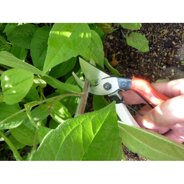 Садові ножиці Okatsune 103 для рук середнього розміру, надзвичайно гострі для легкого різання до 25 мм виготовлені з високоякісної японської сталі Izumo-Yasugi, безперечного лідера в Японії. Садові ножиці 103, середні