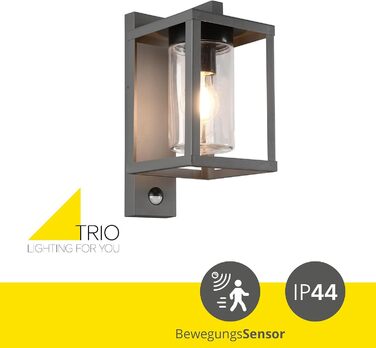 Настінний вуличний світильник Trio Lunga 212069142, литий алюміній, скло, з датчиком руху, антрацит/чорний, без лампи ( E27)