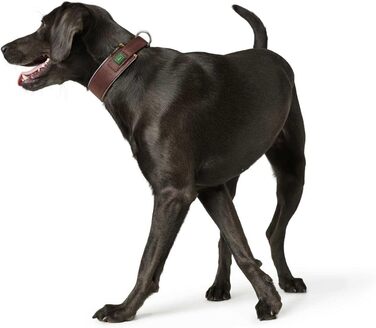 Нашийник для собак HUNTER NEOPREN Reflect, колір коричневий/карамельний, м'яка підкладка, світловідбиваючий, особливо широкий для оптимального комфорту, ідеальний для прогулянок у сутінках, розмір 45 см коричневий/карамельний