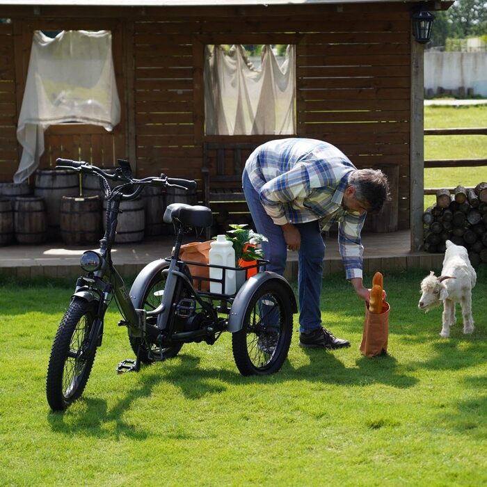 Електричний триколісний велосипед Fafrees F20 Mate для дорослих, складний електровелосипед 20 * 3,0 дюйма, 3-колісний вантажний електровелосипед 48 В 65 Нм, старший електровелосипед з гідравлічними гальмами, вантажопідйомність 180 кг, сірий, акумулятор 21