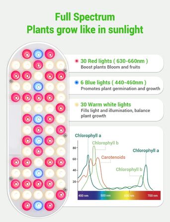 Гідропонна система вирощування GOLUMUP Розумний сад із автоматичним таймером, світлодіодною лампою для рослин 26 Вт і 12 стручками внутрішнього травяного саду, що регулюється по висоті до 50 см